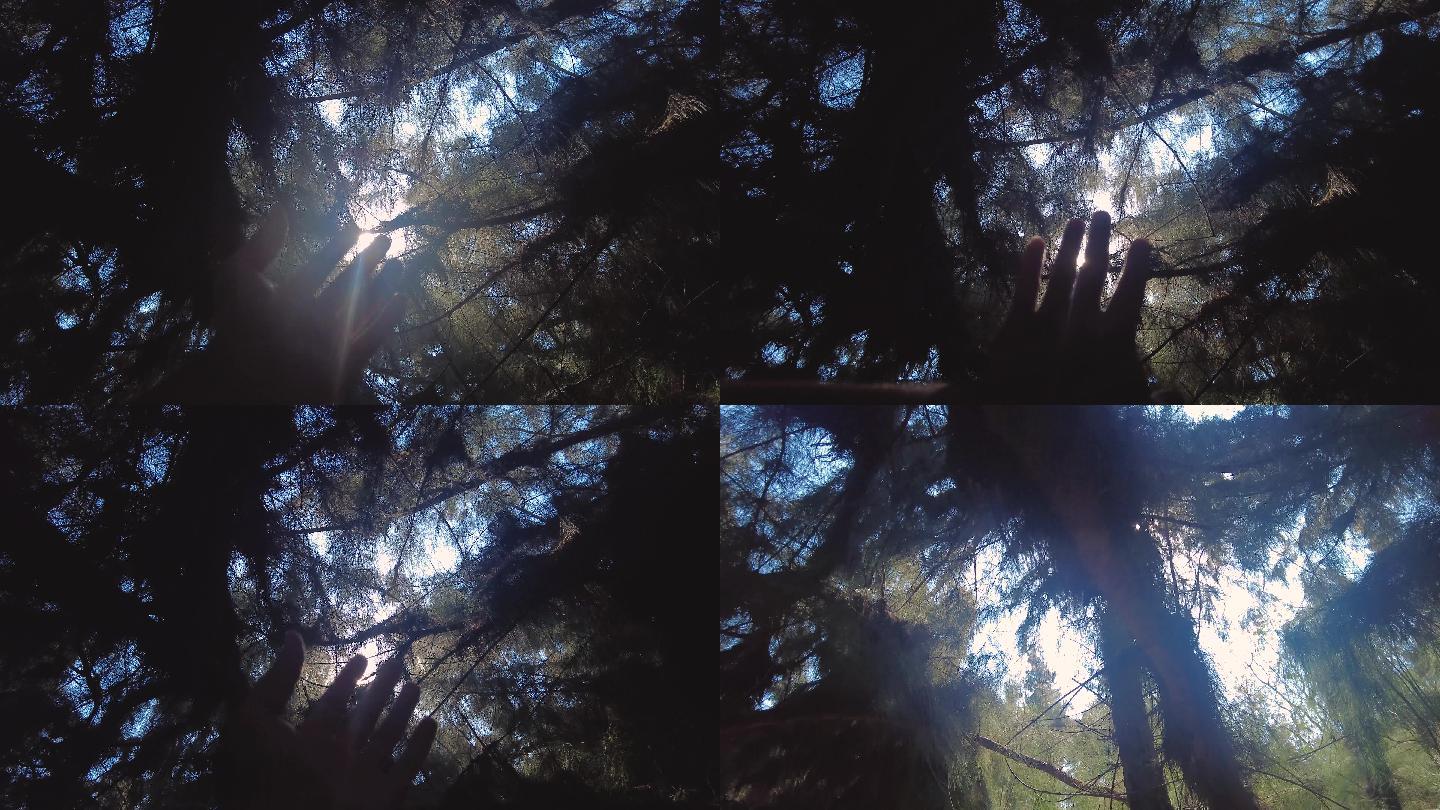 阳光逆光透过黑暗树林手挡指缝触摸温暖希望