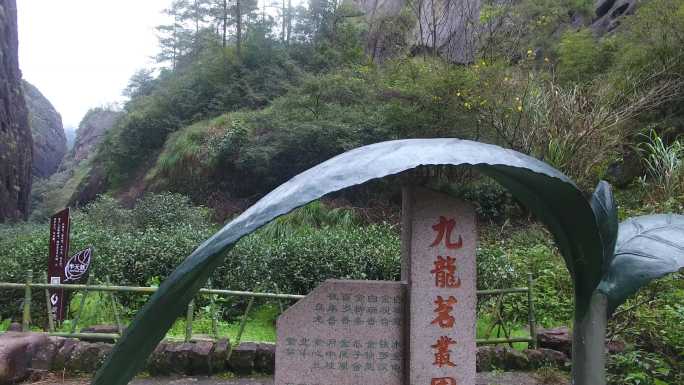 武夷山茶山航拍