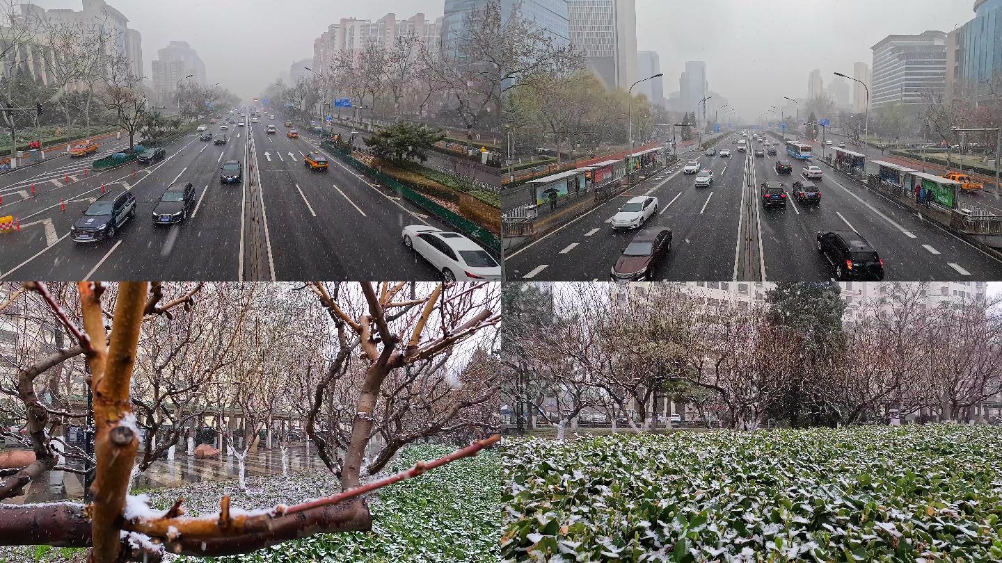 北京下雪实拍