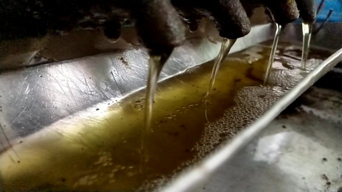 花生油压榨花生油出油过滤黄曲霉素榨菜籽油