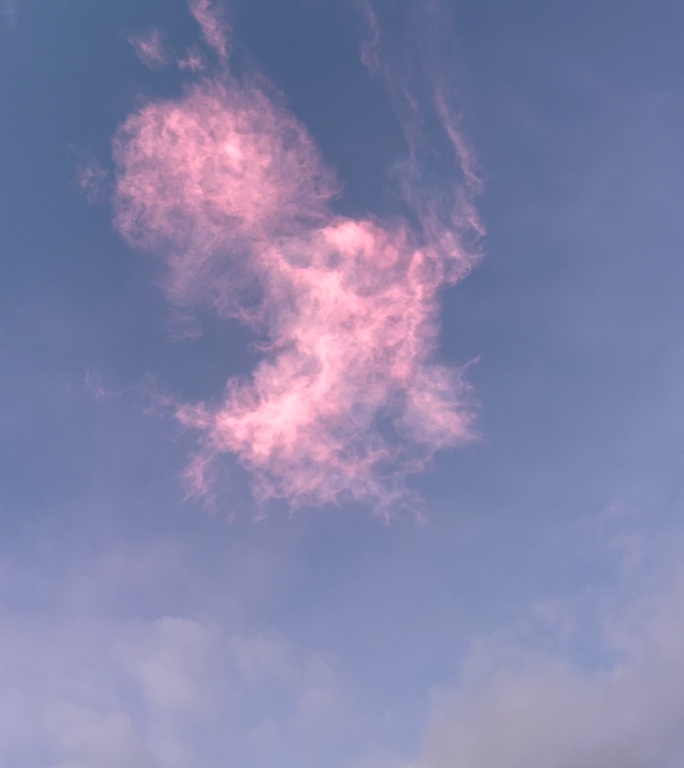 早晨粉红色云彩竖版流动仰拍