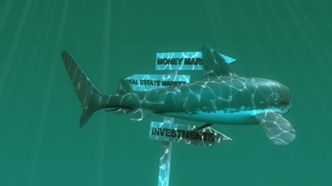 大白鲨与世界股市3D
