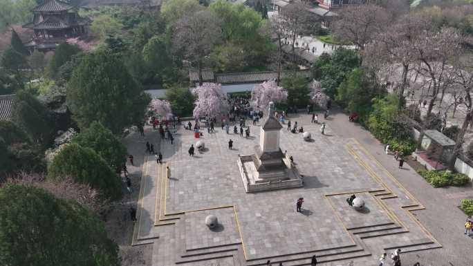 西安青龙寺航拍4K青龙寺樱花西安宣传片