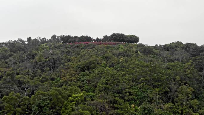 莲花山公园