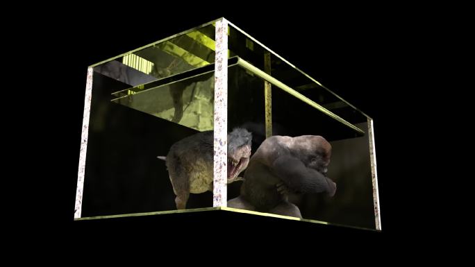 裸眼3D动画L屏猩猩大战恐龙（可定制修改