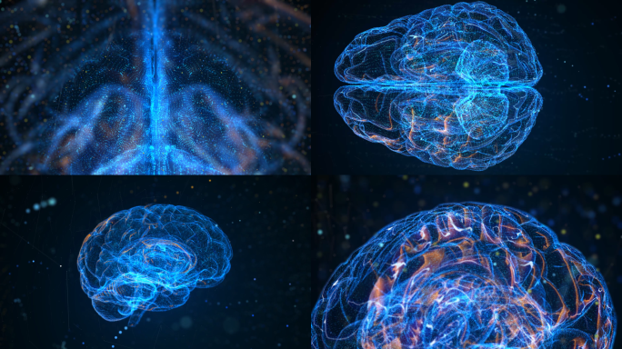 五组科技感智慧大脑神经素材