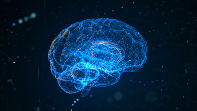五组科技感智慧大脑神经素材