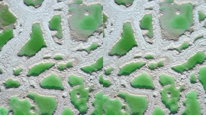 盐湖的无人机视角翡翠色俯拍俯瞰绿色生态