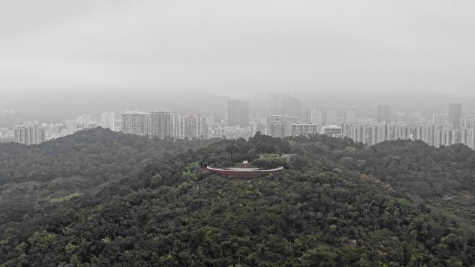 莲花山公园