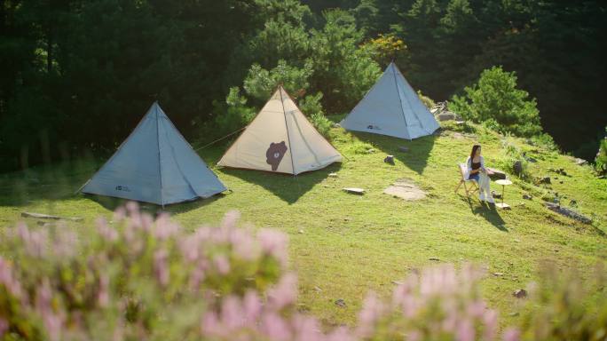 户外生活 帐篷露营 浪漫旅游 森林生活