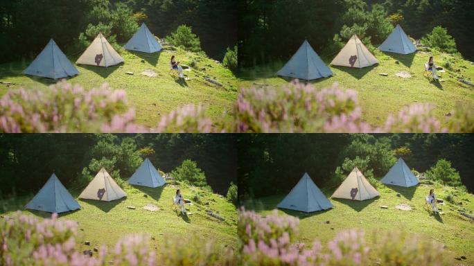 户外生活 帐篷露营 浪漫旅游 森林生活