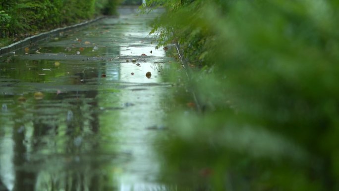 雨天路上