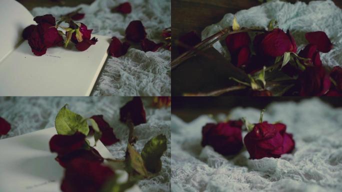 枯萎的花朵调零的玫瑰