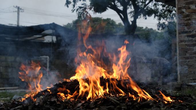 焚烧树叶垃圾