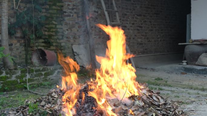 焚烧树叶垃圾