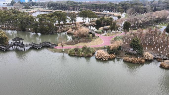 太丰西庐生态湿地公园