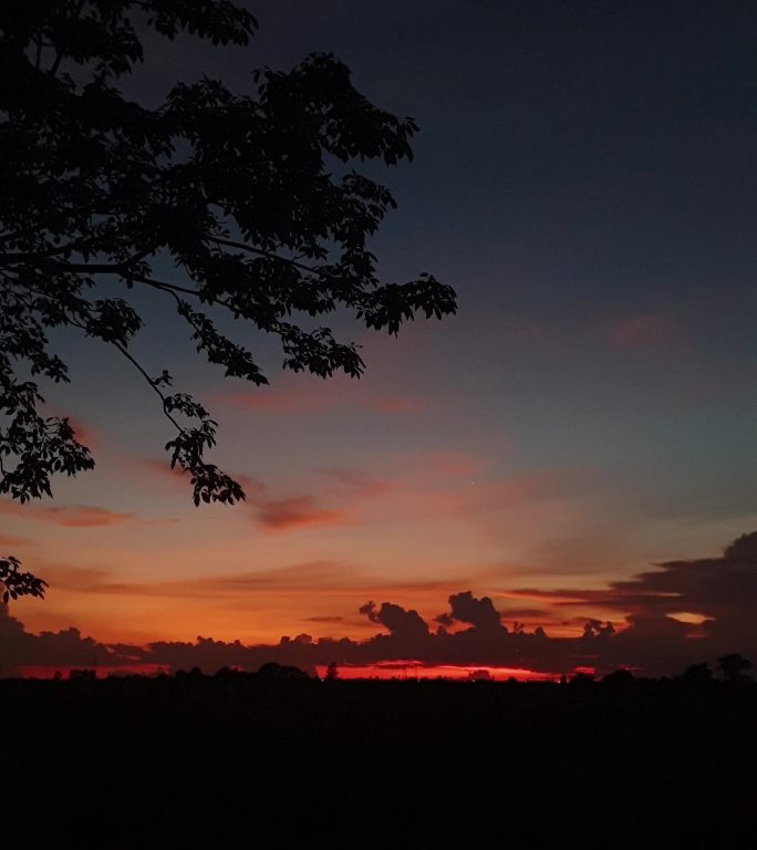 美丽的夕阳竖屏