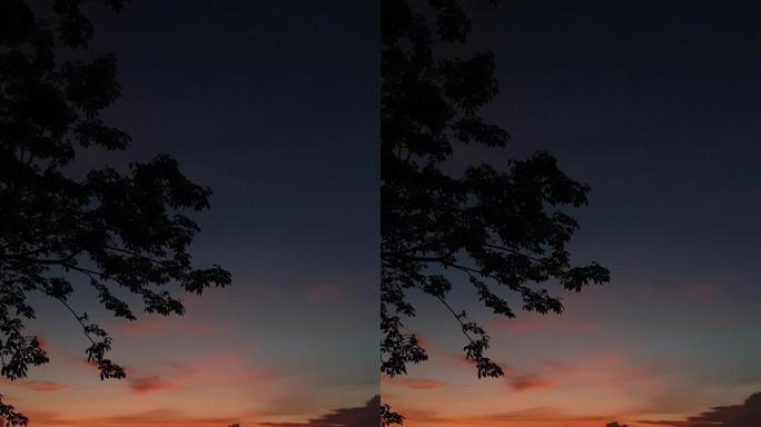 美丽的夕阳竖屏
