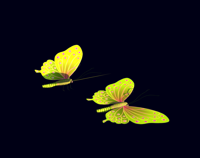 浪漫两只黄色的蝴蝶飞舞视频素材下载