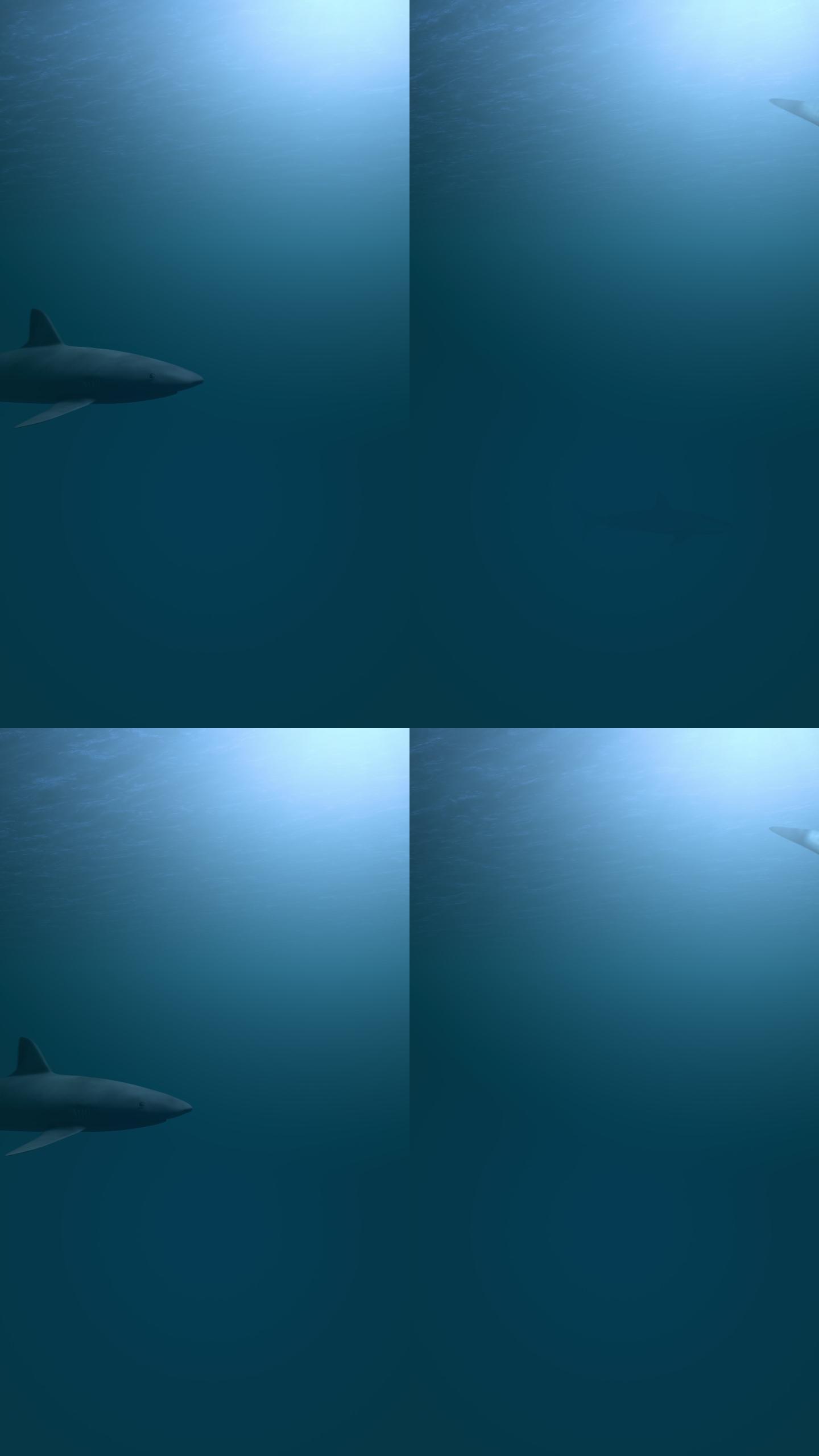 一群鲨鱼正在危险地靠近。