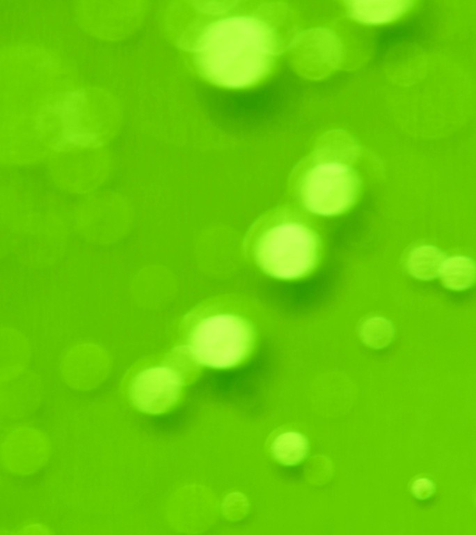 碟子肥皂泡竖屏背景绿色