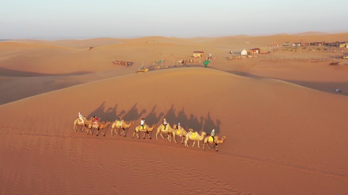 沙漠旅游项目