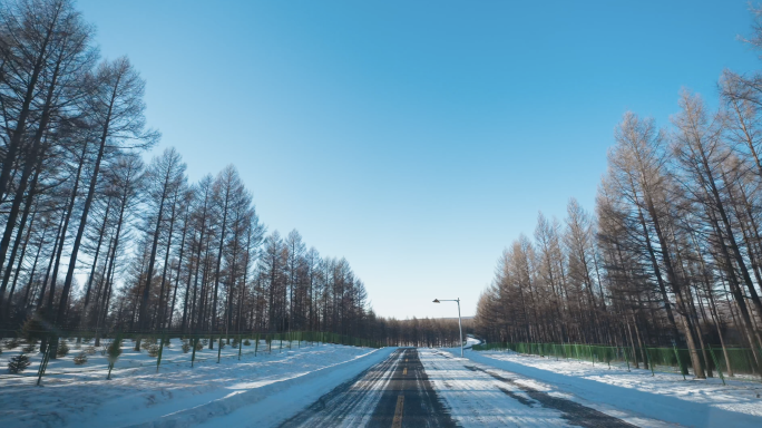 塞罕坝冬季公路前行