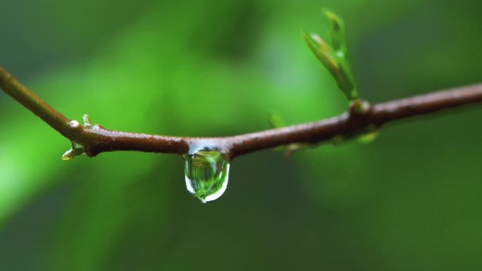 雨天景色 绵绵细雨