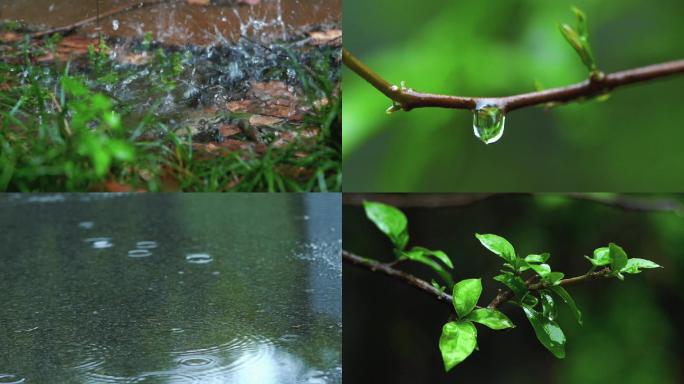 雨天景色 绵绵细雨