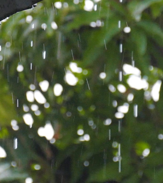 从屋顶流下的雨滴