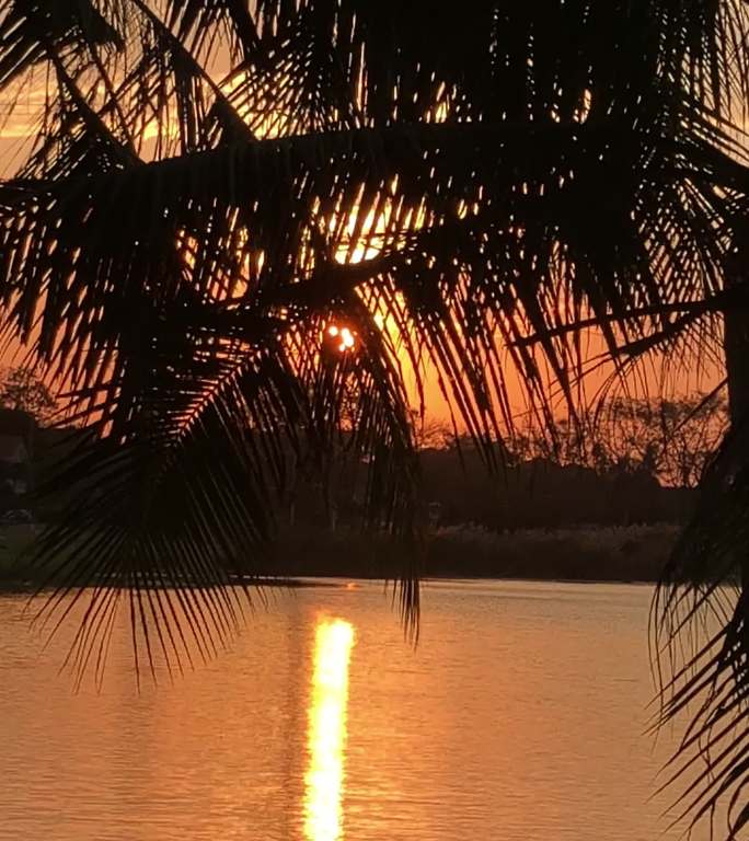 夕阳下的湖泊晚霞霞光波光粼粼湖面水面