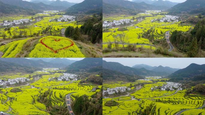 4K航拍中国南方油菜花梯田春季风景