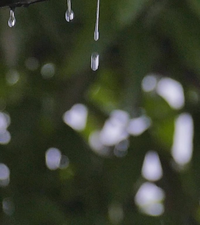 屋檐雨滴水滴落下概念镜头水资源淡水