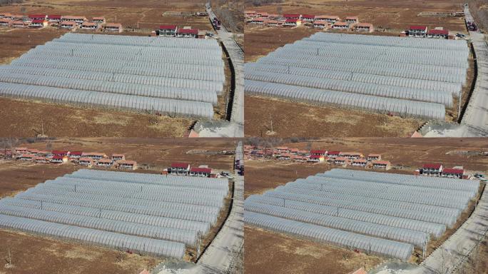 航拍农业大棚  三农  农民产业