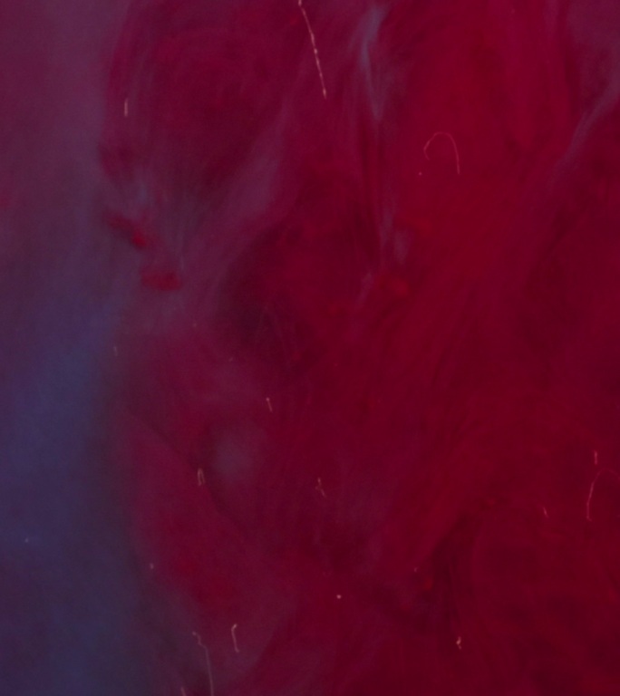 彩色背景背景时尚流行