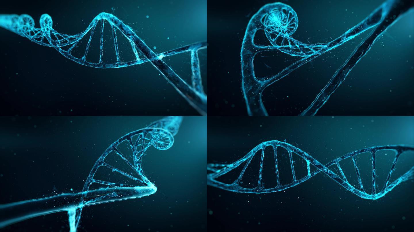 DNA 分子基因双螺旋基因结构体核算医疗