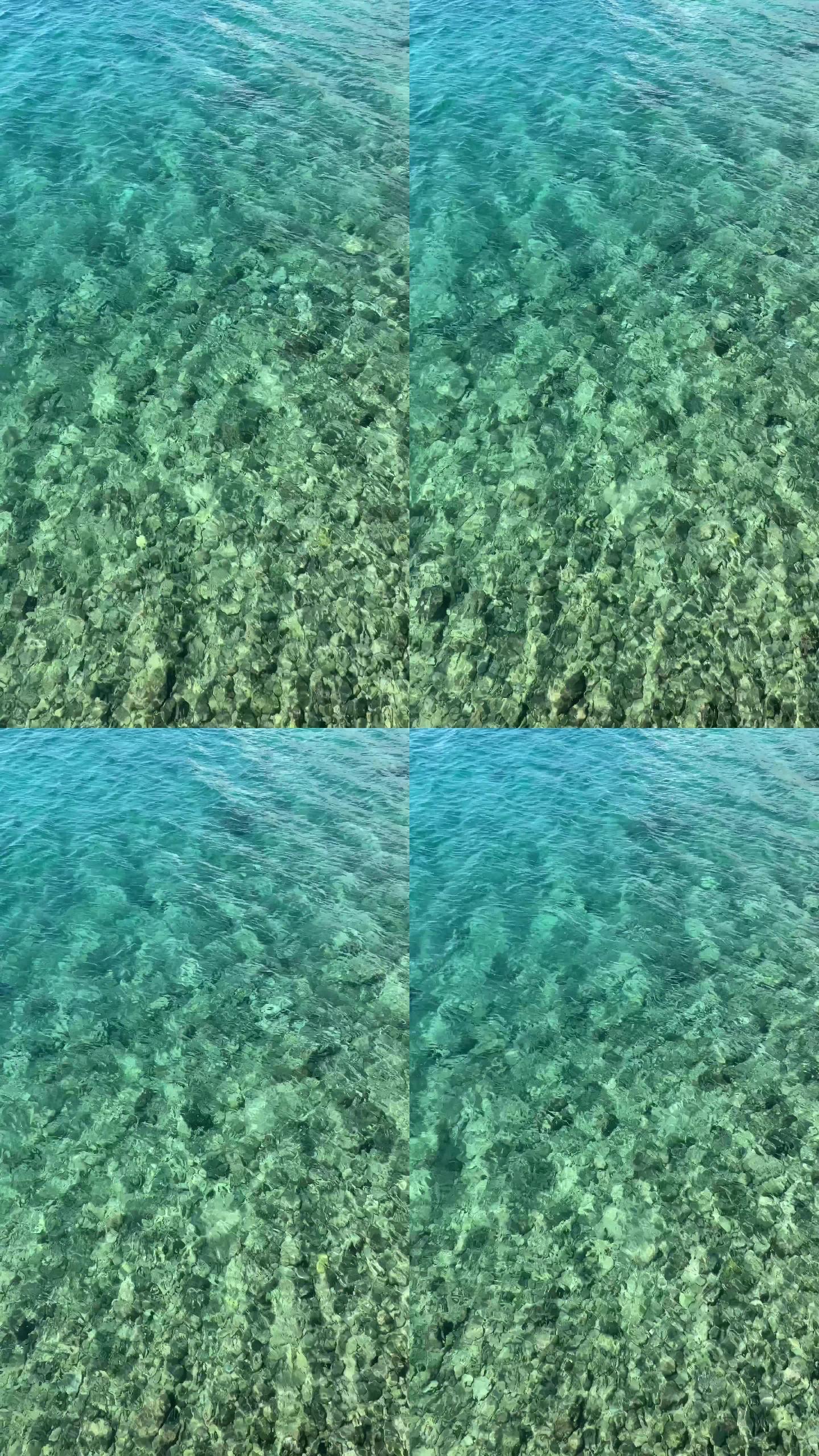 亚得里亚海的水面。