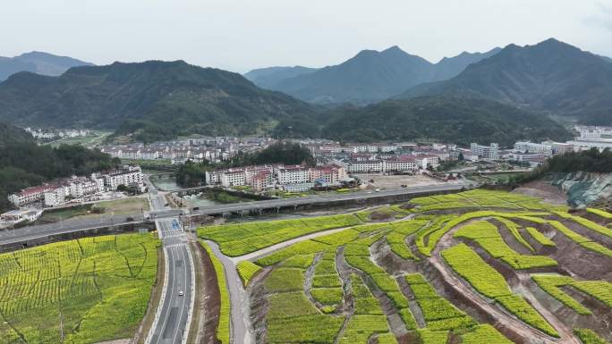 磐安冷水镇油菜花田航拍