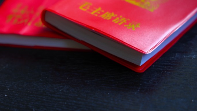 语录 红色 像章 庄严 为人民服务