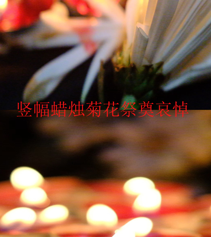 抖音微信朋友圈视频素材蜡烛菊花哀悼祭奠