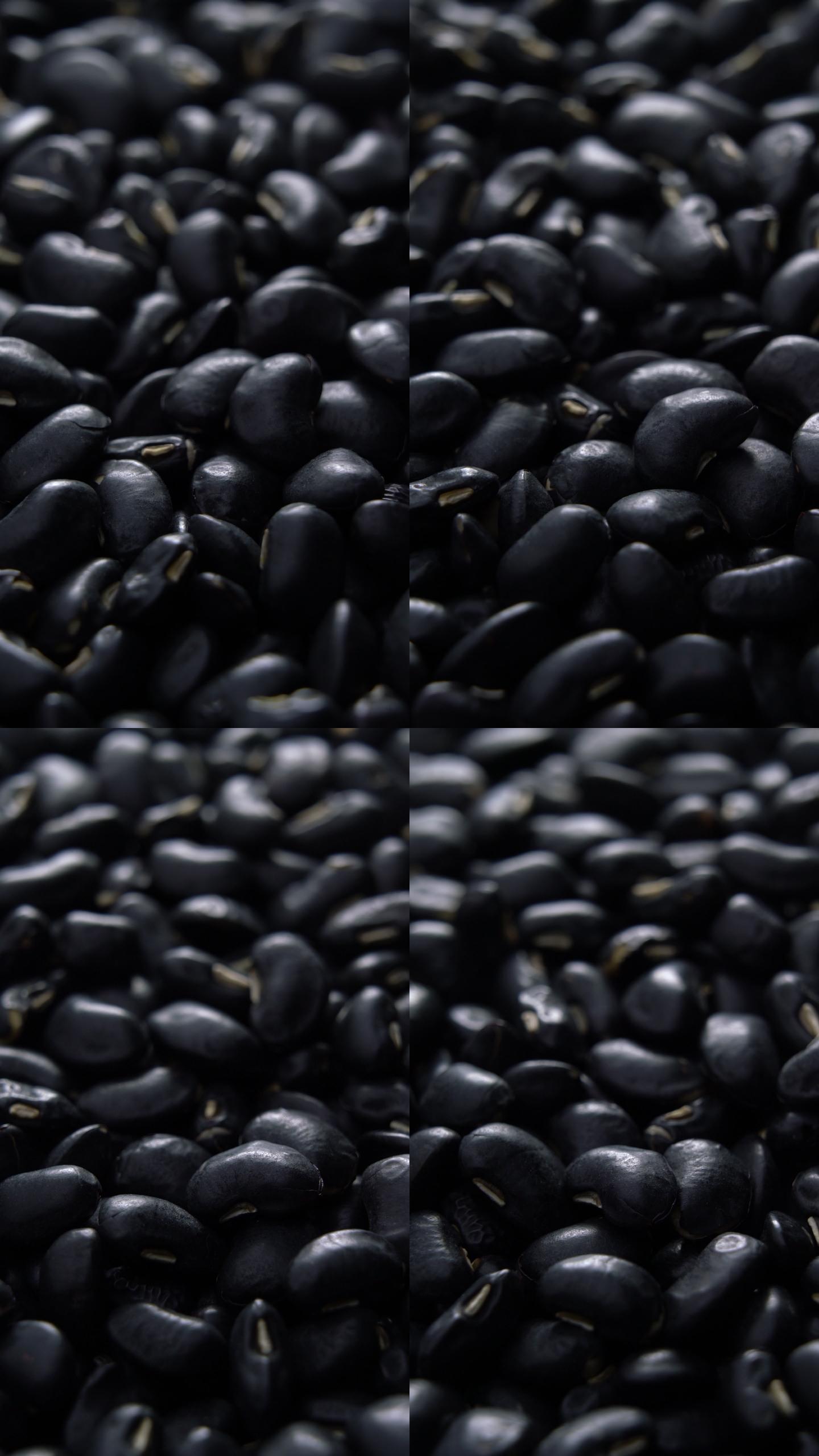 黑豆旋转特写镜头豆类食材