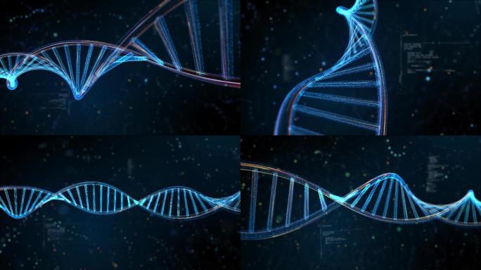 4组DNA链基因分子结构