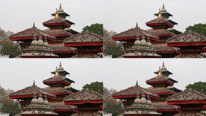 尼泊尔加都 寺庙 广场古迹 街道 行人鸟