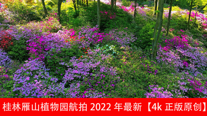 桂林雁山植物园航拍2022年最新