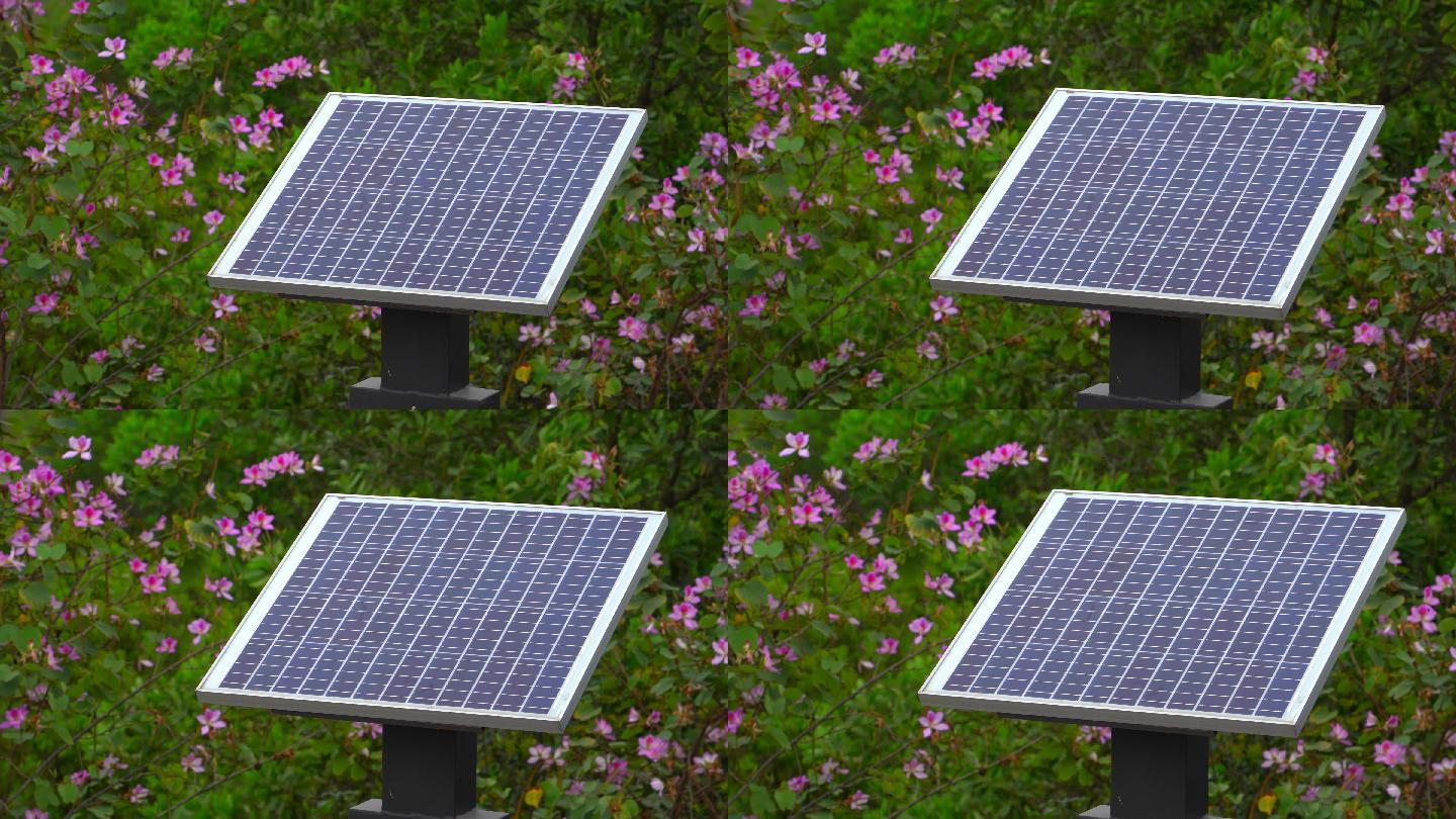 山林花草太阳能受光板新能源