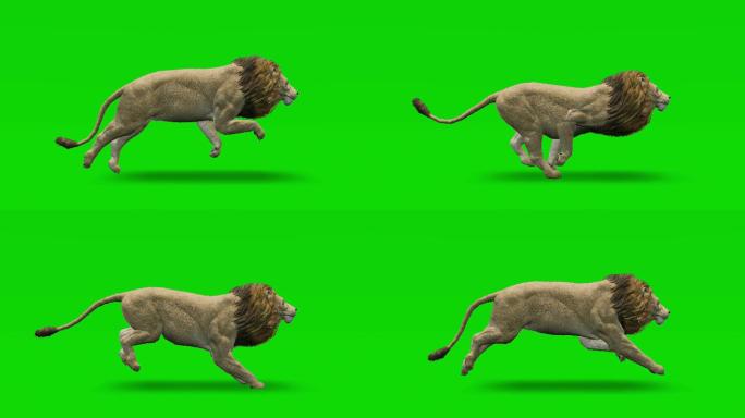 狮子动画抠像通道电影