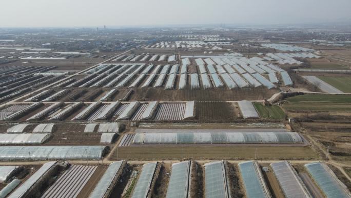 大棚蔬菜基地航拍/农田航拍