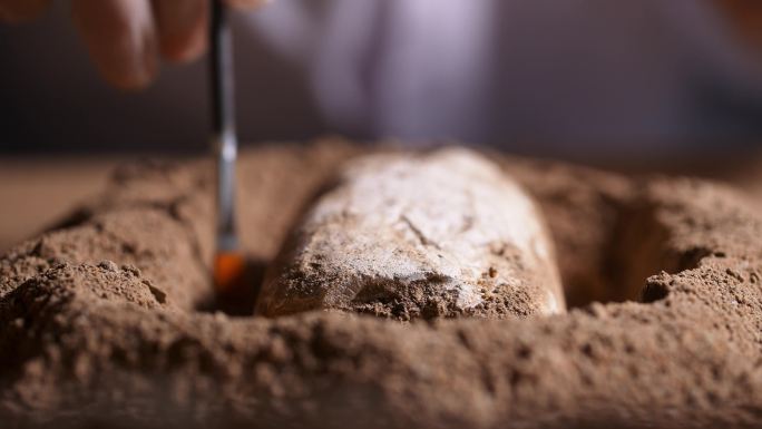 考古发掘人员用刷子轻轻扫去文物上沙泥拿走