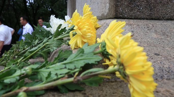 清明节公祭祭缅怀扫革命烈士扫墓献花菊花