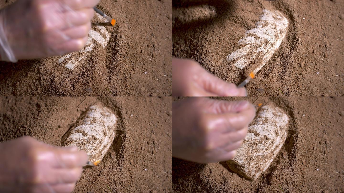考古发掘人员用刷子轻轻扫去覆盖文物上沙泥
